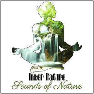 Inner Nature: Sounds of Nature – Relaxing Music, Rain and Ocean Melody to Reduce Stress, Best for Meditation, Flora and Fauna Music