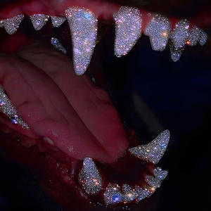 Shining (feat. NunButPlays) (Explicit)