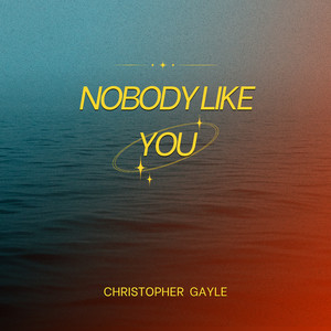 Nobody Like You