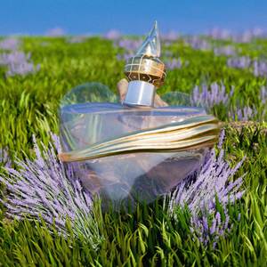 AGUA MICELAR (Explicit)