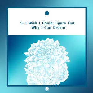 5: I Wish I Could Figure Out Why I Can Dream