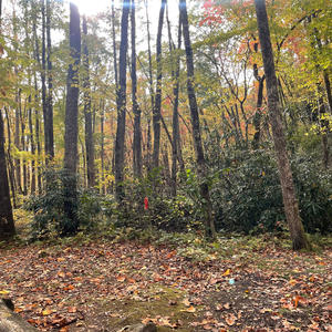 make him bleed (Explicit)