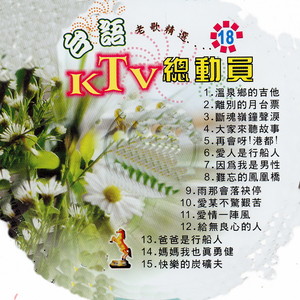 温泉乡的吉他封面