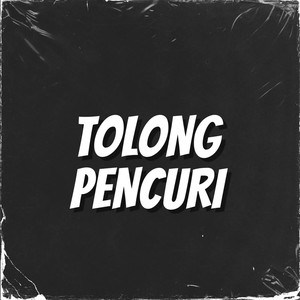 Tolong Pencuri