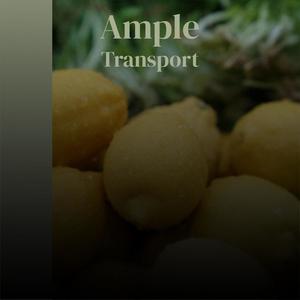 Ample Transport