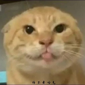 请不要哈气