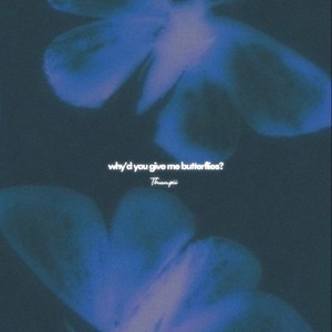 why'd you give me butterflies? (Explicit)