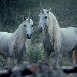 right here (prod. nedarb)