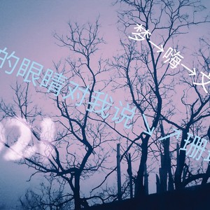她的眼睛会唱歌