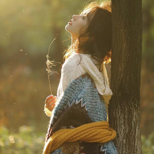 快乐的扑满 (x0.8)