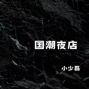 国潮夜店NO.4 (Remix)