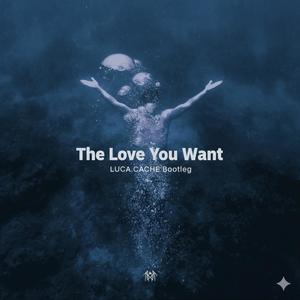 The Love You Want (LUCA.CACHE Bootleg)