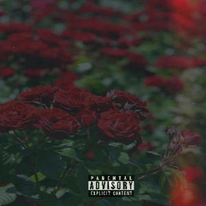 Rose from the Concrete (Explicit)