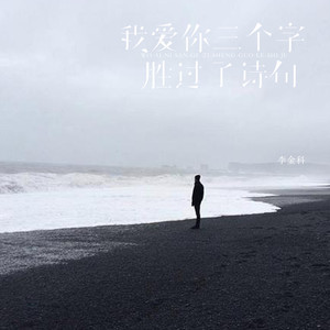 我爱你三个字胜过了诗句