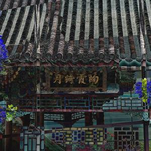 绚霞绮月 (Explicit)