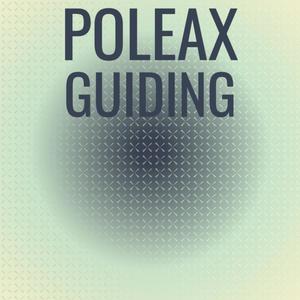 Poleax Guiding