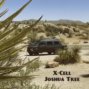 Joshua Tree