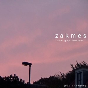 SAD GUY SUMMER (YOU CHANGED)