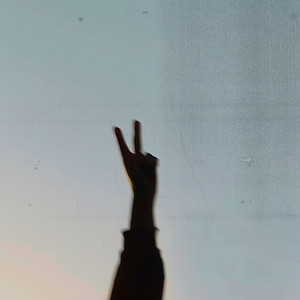 PEACE SIGNS