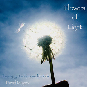 Flowers of Light (Dreamy Guitarloop Meditations)