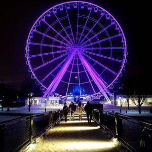 Insomne (Live Looping Version)