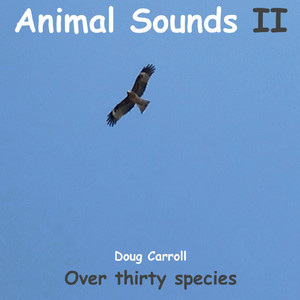 Animal Sounds II