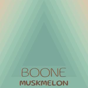 Boone Muskmelon