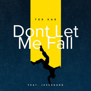 Don't Let Me Fall