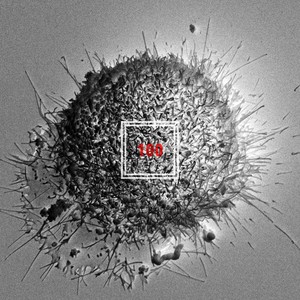 100 (FEAT.천재노창) (100 (feat.Nochang))
