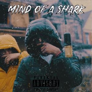 Mind Of A Shark