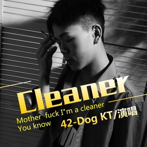 Cleaner