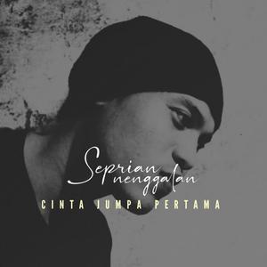 Cinta Jumpa Pertama