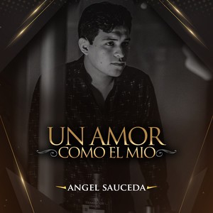Un Amor Como el Mio