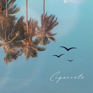 Cigarrete (feat. Aloqin)