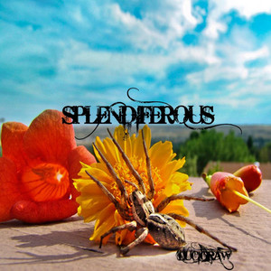 LuciGraw - Cut Back (Explicit)