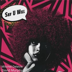 Say U Will (feat. Eddie Sanabria)