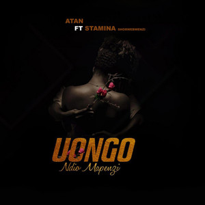 Uongo Ndio Mapenzi (Explicit)