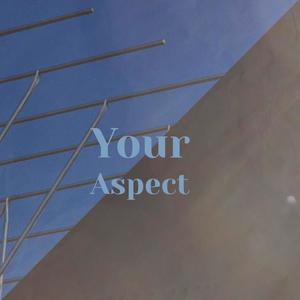 Your Aspect