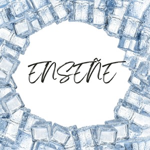 enseñe