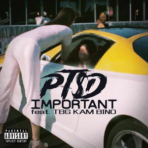 Important (feat. TBG Kam Bino) (Explicit)