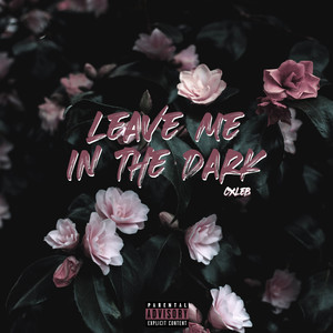 Leave Me In The Dark (Explicit)