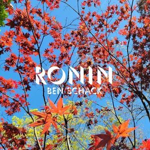 RONIN (Explicit)