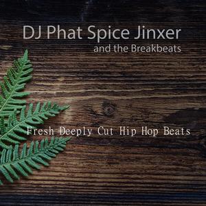 Fresh Deeply Cut Hip Hop Beats