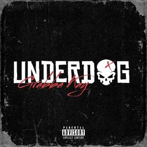 Underdog (Explicit)