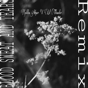 Blood Sweat And Tears (Remix)