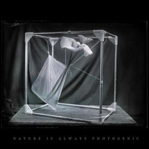 The Iconography of the Heroes Whom (feat. João Clemente, Duarte Fonseca, Ricardo Sousa & Nuno Santos Dias)