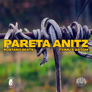 Pareta Anitz