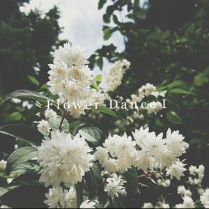 Flower Dance (钢琴版)