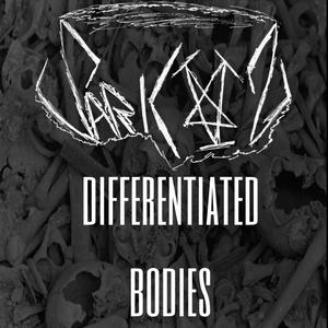 DIFFERENCIATED BODIES (Explicit)