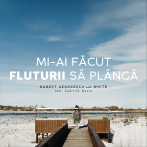 Mi-ai făcut fluturii să plângă (feat. Gabriela Marin)